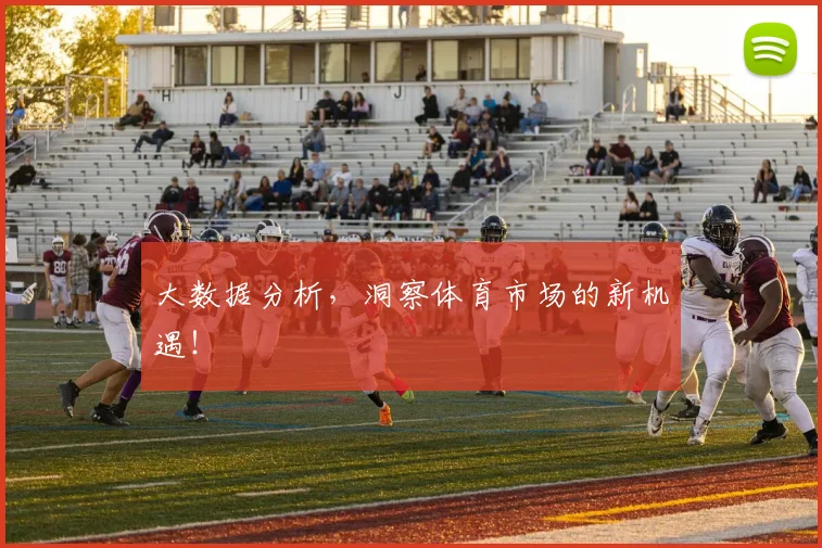 大数据分析，洞察体育市场的新机遇！